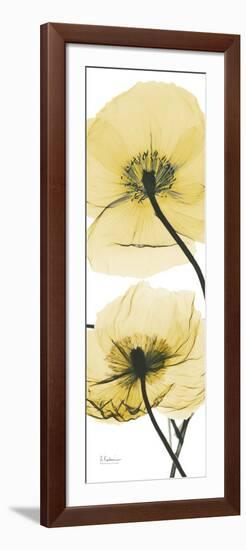 Iceland Poppy Yellow-Albert Koetsier-Framed Premium Giclee Print