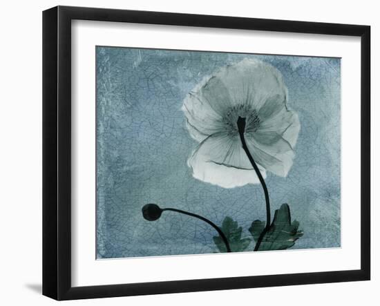 Iceland Poppy-Albert Koetsier-Framed Art Print