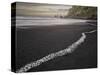 Iceland, Reynisfjara Beach-John Ford-Stretched Canvas