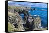 Iceland, rock formations of the west coast, Arnarstapi, Snaefellsjokull, Snaefellsnes Peninsula-Miva Stock-Framed Stretched Canvas