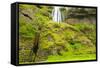 Iceland. Seljalandsfoss. Gljufrabui Waterfall-Inger Hogstrom-Framed Stretched Canvas