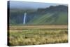 Iceland. Seljalandsfoss Waterfalls Famous Waterfall in South Iceland-Bill Bachmann-Stretched Canvas