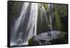 Iceland, Seljalandsfoss. Woman on large rock in front of streaming falls in green slot canyon. (MR)-Mark Williford-Framed Stretched Canvas