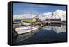 Iceland, Siglufjordur. Boats moored at pier.-Bill Young-Framed Stretched Canvas