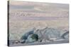 Iceland, Skaftafell National Park, Blue details of Vatnajokull Glacier.-Ellen Goff-Stretched Canvas