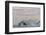 Iceland, Skaftafell National Park, Blue details of Vatnajokull Glacier.-Ellen Goff-Framed Photographic Print