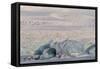 Iceland, Skaftafell National Park, Blue details of Vatnajokull Glacier.-Ellen Goff-Framed Stretched Canvas