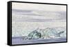 Iceland, Skaftafell National Park, Blue details of Vatnajokull Glacier.-Ellen Goff-Framed Stretched Canvas