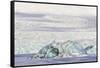 Iceland, Skaftafell National Park, Blue details of Vatnajokull Glacier.-Ellen Goff-Framed Stretched Canvas