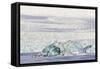 Iceland, Skaftafell National Park, Blue details of Vatnajokull Glacier.-Ellen Goff-Framed Stretched Canvas