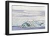 Iceland, Skaftafell National Park, Blue details of Vatnajokull Glacier.-Ellen Goff-Framed Photographic Print