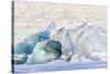 Iceland, Skaftafell National Park, Blue details of Vatnajokull Glacier.-Ellen Goff-Stretched Canvas