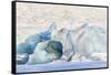 Iceland, Skaftafell National Park, Blue details of Vatnajokull Glacier.-Ellen Goff-Framed Stretched Canvas