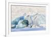 Iceland, Skaftafell National Park, Blue details of Vatnajokull Glacier.-Ellen Goff-Framed Photographic Print