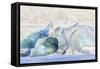 Iceland, Skaftafell National Park, Blue details of Vatnajokull Glacier.-Ellen Goff-Framed Stretched Canvas