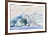 Iceland, Skaftafell National Park, Blue details of Vatnajokull Glacier.-Ellen Goff-Framed Premium Photographic Print