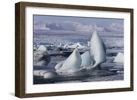 Iceland, Skaftafell National Park, Jokulsarlon lagoon. Ice from Vatnajokull Glacier on a lagoon.-Ellen Goff-Framed Photographic Print