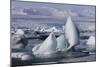 Iceland, Skaftafell National Park, Jokulsarlon lagoon. Ice from Vatnajokull Glacier on a lagoon.-Ellen Goff-Mounted Photographic Print