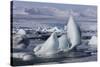 Iceland, Skaftafell National Park, Jokulsarlon lagoon. Ice from Vatnajokull Glacier on a lagoon.-Ellen Goff-Stretched Canvas