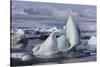 Iceland, Skaftafell National Park, Jokulsarlon lagoon. Ice from Vatnajokull Glacier on a lagoon.-Ellen Goff-Stretched Canvas