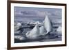 Iceland, Skaftafell National Park, Jokulsarlon lagoon. Ice from Vatnajokull Glacier on a lagoon.-Ellen Goff-Framed Photographic Print