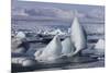 Iceland, Skaftafell National Park, Jokulsarlon lagoon. Ice from Vatnajokull Glacier on a lagoon.-Ellen Goff-Mounted Photographic Print