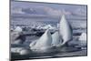 Iceland, Skaftafell National Park, Jokulsarlon lagoon. Ice from Vatnajokull Glacier on a lagoon.-Ellen Goff-Mounted Photographic Print