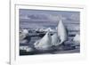 Iceland, Skaftafell National Park, Jokulsarlon lagoon. Ice from Vatnajokull Glacier on a lagoon.-Ellen Goff-Framed Photographic Print