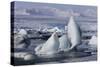 Iceland, Skaftafell National Park, Jokulsarlon lagoon. Ice from Vatnajokull Glacier on a lagoon.-Ellen Goff-Stretched Canvas