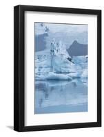 Iceland, Skaftafell National Park, Lake Jokulsarlon. View of the iceberg filled lake.-Ellen Goff-Framed Photographic Print