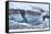 Iceland, Skaftafell National Park, Skaftafelljokull Glacier. Huge chunks of glacial ice.-Ellen Goff-Framed Stretched Canvas