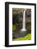 Iceland, Skaftafell National Park, Svartifoss, Black Falls.-Ellen Goff-Framed Photographic Print