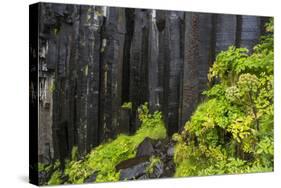 Iceland, Skaftafell, Svartifoss Waterfall-Gavriel Jecan-Stretched Canvas