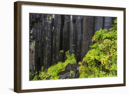 Iceland, Skaftafell, Svartifoss Waterfall-Gavriel Jecan-Framed Photographic Print