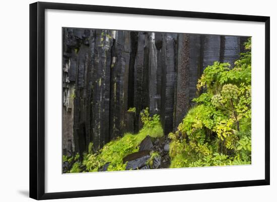 Iceland, Skaftafell, Svartifoss Waterfall-Gavriel Jecan-Framed Photographic Print