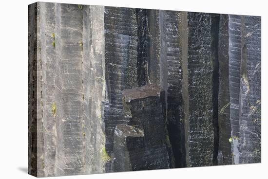 Iceland, Skaftafell, Svartifoss Waterfall-Gavriel Jecan-Stretched Canvas