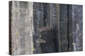 Iceland, Skaftafell, Svartifoss Waterfall-Gavriel Jecan-Stretched Canvas