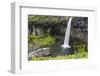 Iceland, Skaftafell, Svartifoss Waterfall-Gavriel Jecan-Framed Photographic Print