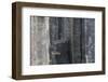 Iceland, Skaftafell, Svartifoss Waterfall-Gavriel Jecan-Framed Photographic Print