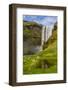 Iceland, Skogafoss. Waterfall reflects in pool.-Cathy and Gordon Illg-Framed Photographic Print