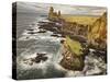 Iceland, Snaefellsnes Peninsula, Londrangar Cliffs-John Ford-Stretched Canvas