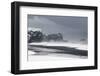 Iceland, South Iceland, Dyrholaey, Dyrholaey Headland-Salvo Orlando-Framed Photographic Print