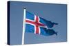 Iceland. South Region. Thingvellir. Icelandic Flag-Inger Hogstrom-Stretched Canvas