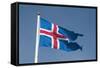 Iceland. South Region. Thingvellir. Icelandic Flag-Inger Hogstrom-Framed Stretched Canvas