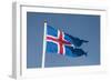 Iceland. South Region. Thingvellir. Icelandic Flag-Inger Hogstrom-Framed Photographic Print