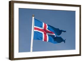 Iceland. South Region. Thingvellir. Icelandic Flag-Inger Hogstrom-Framed Photographic Print
