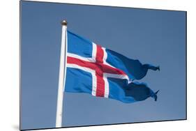 Iceland. South Region. Thingvellir. Icelandic Flag-Inger Hogstrom-Mounted Photographic Print