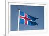 Iceland. South Region. Thingvellir. Icelandic Flag-Inger Hogstrom-Framed Photographic Print