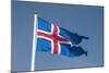 Iceland. South Region. Thingvellir. Icelandic Flag-Inger Hogstrom-Mounted Photographic Print