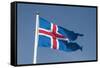 Iceland. South Region. Thingvellir. Icelandic Flag-Inger Hogstrom-Framed Stretched Canvas